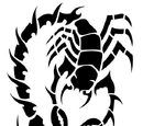 Schwadron Schwarzer Skorpion