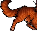 Flametail