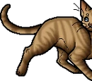 Heathertail