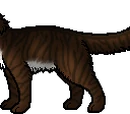 Hawkfrost