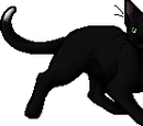 Ravenpaw