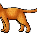 Jaggedtooth