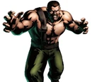 Mike Haggar
