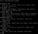 Skills (NetHack brass)