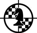 Checkmate (agency)