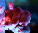 Red kryptonite
