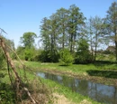 Wilanówka