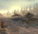 Wasteland