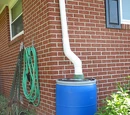 Rain Barrel