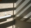 Earth Day Photo Contest - Capturing Natural Light to Elemental LED