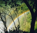 Zambia