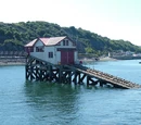 Swansea