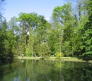 Low carbon communities
