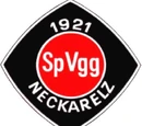 SpVgg Neckarelz
