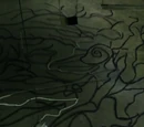 The Garden of Forking Paths