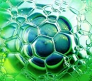 Algae biofuel