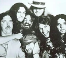 LynyrdSkynyrd Wiki