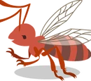 Giant Queen Ant