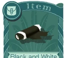 Black and White Leather