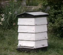 Beehive