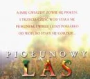 Piołunowy las. Historia Czarnobyla.