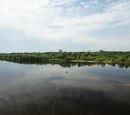 Prypeć (rzeka)