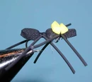 Chernobyl Ant