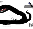 Black Soil Dragon