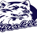 Main Page