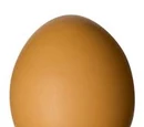 An Egg