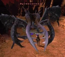 Myrmecoleon