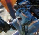 Toruk Makto