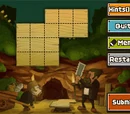 Puzzle:Cave Cover-Up