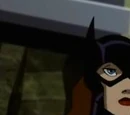 Barbara Gordon (Earth-16)