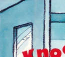 Knock, Knock! Who's There?