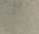 Stonepaw