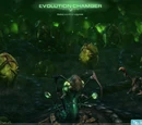 Evolution chamber