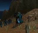 Spiritwolf Initiation