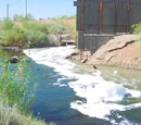 Water pollution