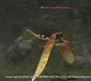 Beet Leafhopper
