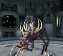 Insectrox