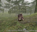 King Arthro