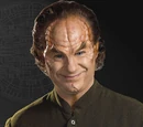Phlox