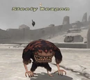 Steely Weapon