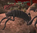 Gullycampa