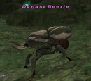 Dynast Beetle