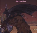 Muscaliet