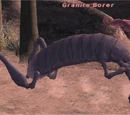 Granite Borer