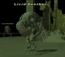 Livid Seether