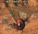 Nematocera